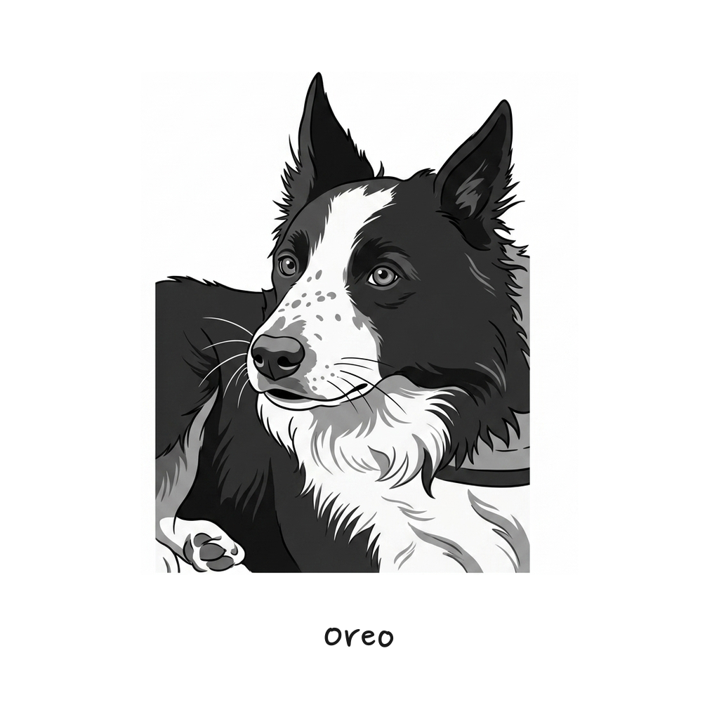 Oreo 리얼리즘