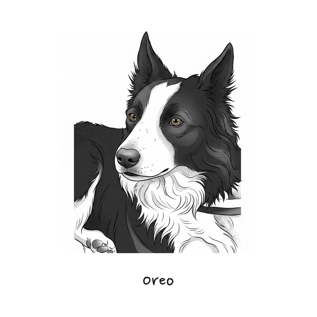 Oreo 컬러 액센트