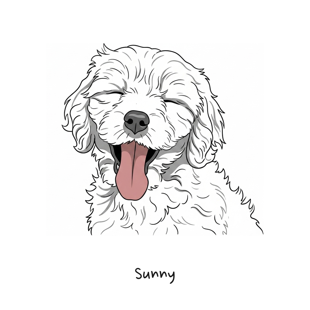 Sunny 컬러 액센트
